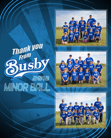 Customized Designs for your league to sponsors